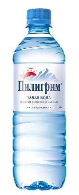 Вода "Пилигрим" 0.25 литра, негаз., ПЭТ, 8 шт. в уп. от магазина Одежда+
