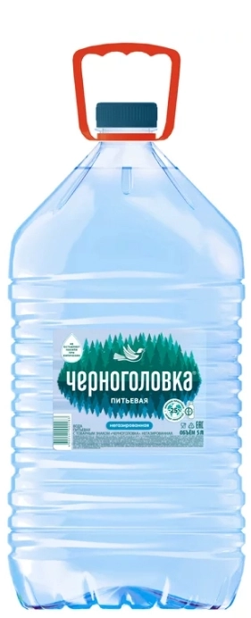 Вода питьевая Черноголовка 5 литров негазированная, 2 шт. в уп. от магазина Одежда+